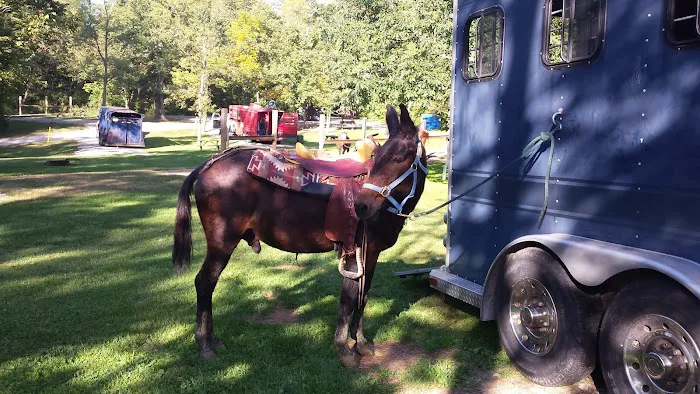 Salamonie River State Forest Horseman's Camp 6