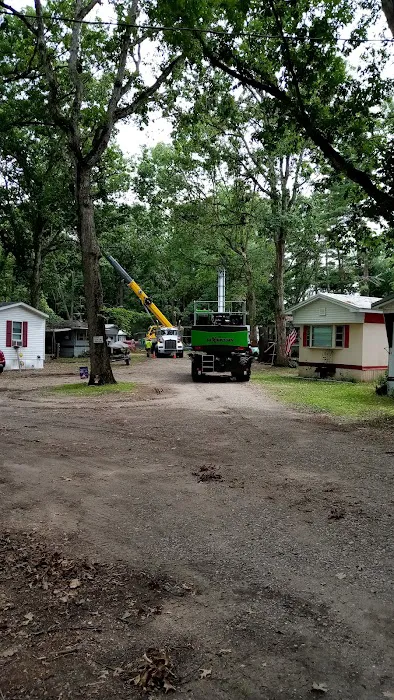 Camp Withers 4
