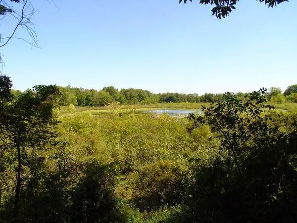 Twin Mills Campground 10