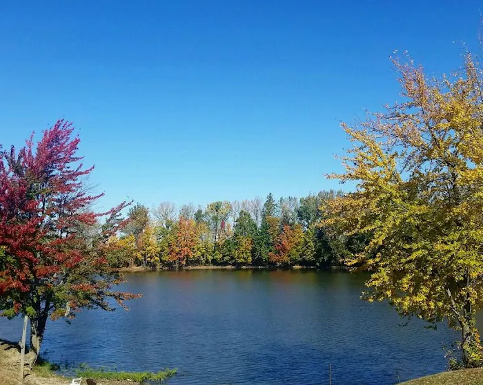 Beaver Point Campground 8