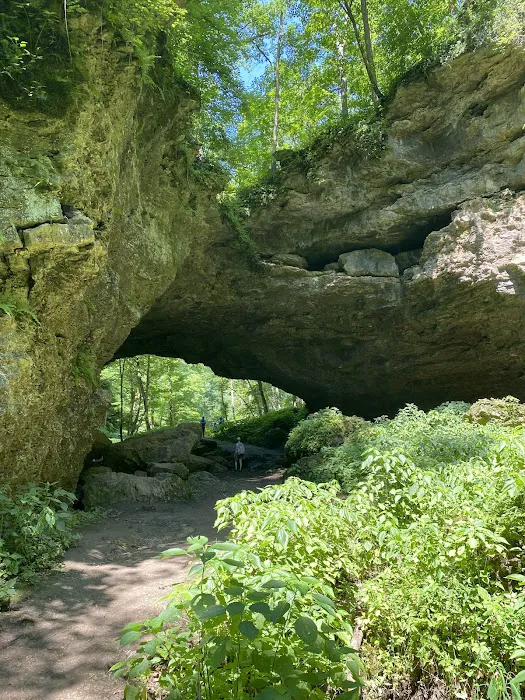 Maquoketa Caves State Park Campground 10