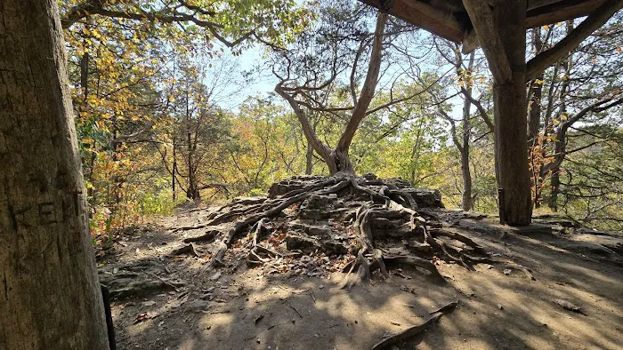 Maquoketa Caves State Park Campground 9