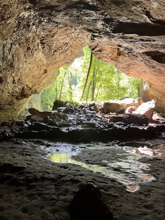 Maquoketa Caves State Park Campground 5