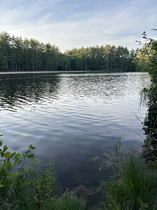 Puckaway Sands Resort 4