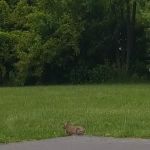 Plymouth Country View Estates