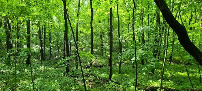Greenbush Group Campground (KMSF-North Unit) 7