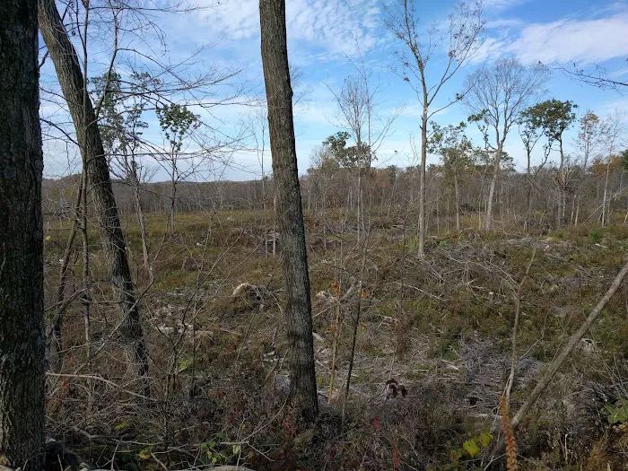 Greenbush Group Campground (KMSF-North Unit) 10