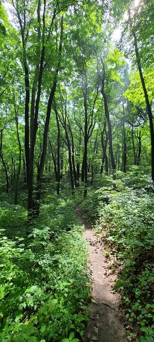 Greenbush Group Campground (KMSF-North Unit) 9