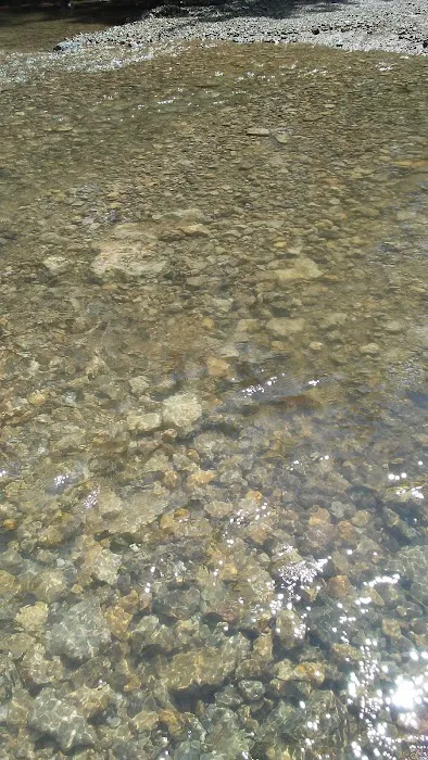 Miners Creek Hideout 3