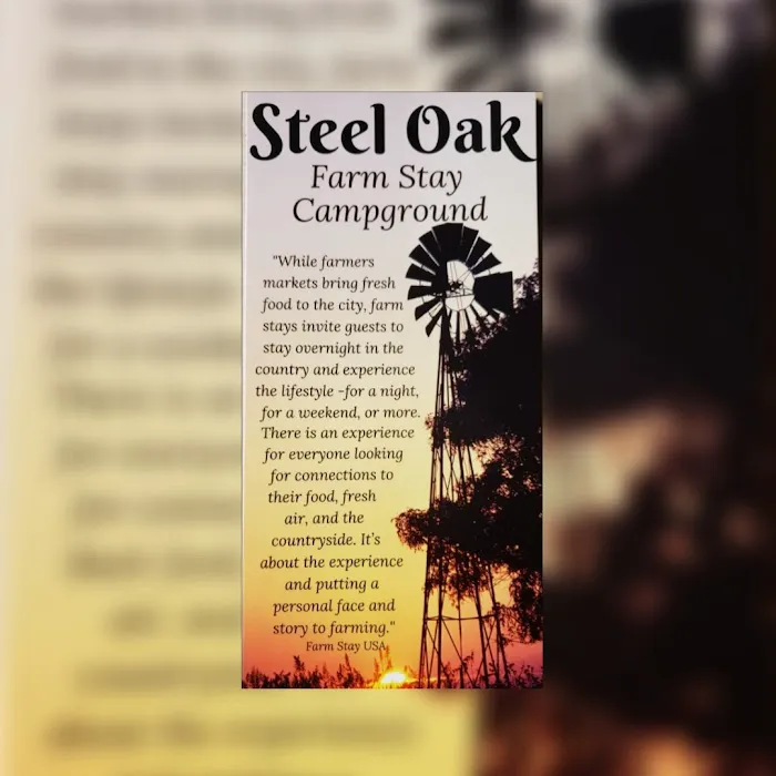 Steel Oak Campground 1