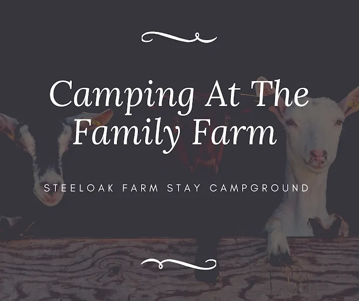 Steel Oak Campground 6