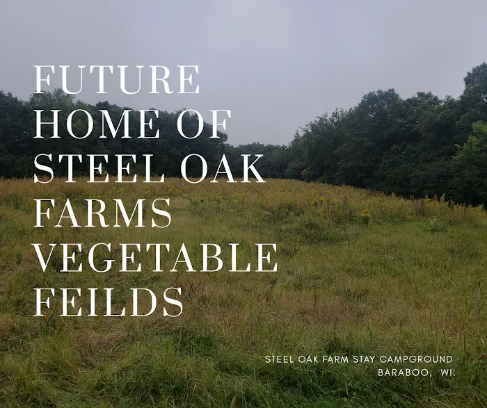 Steel Oak Campground 10