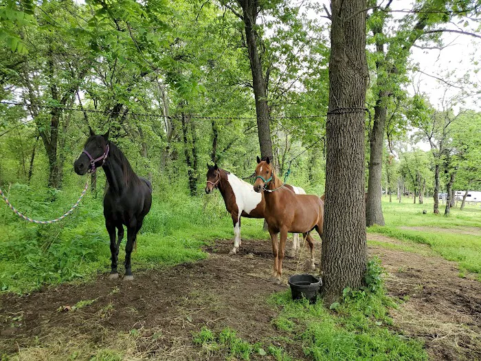 Sandy Oaks 3