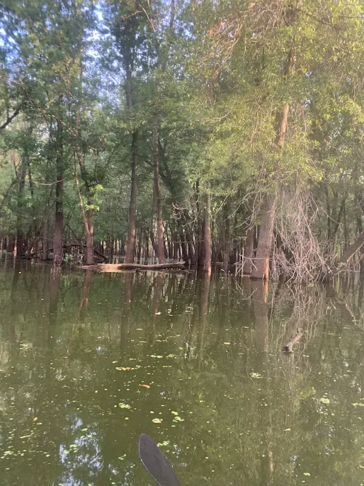 Lake Odessa Campground 7