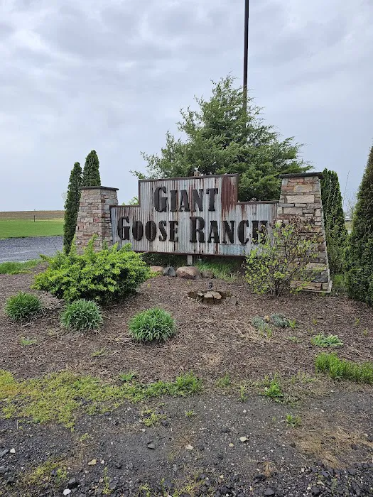 Giant Goose Ranch 4