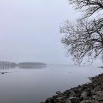 Shady Creek Recreation Area