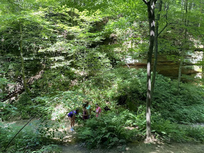 Wildcat Den Campground 7