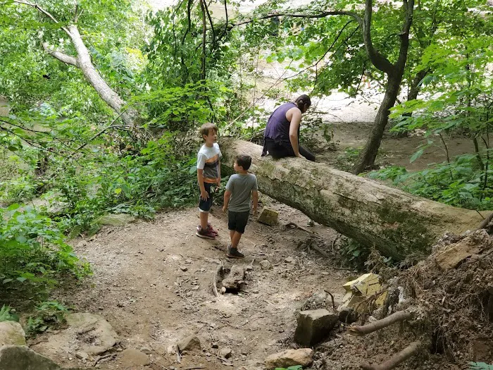 Wildcat Den Campground 8