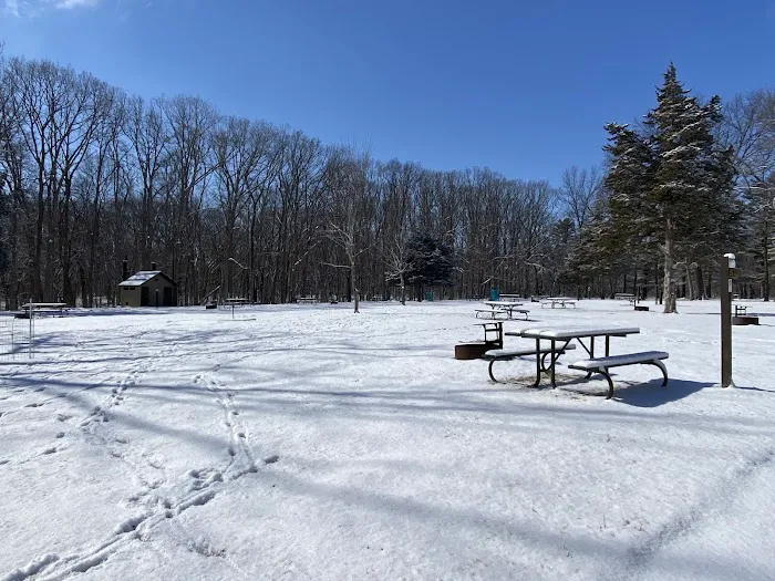 Wildcat Den Campground 4