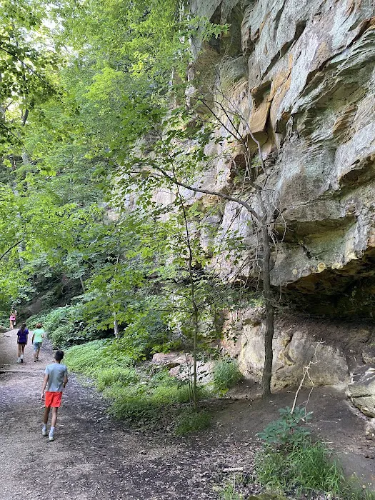 Wildcat Den Campground 6