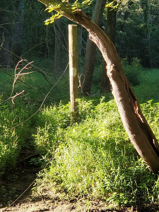 Cedar Valley County Park 2