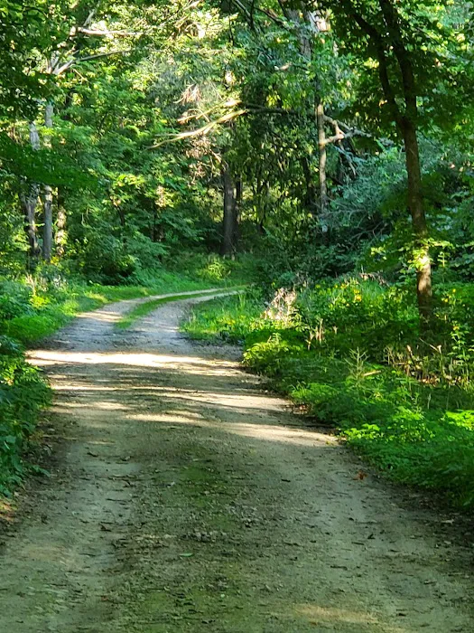 Cedar Valley County Park 4