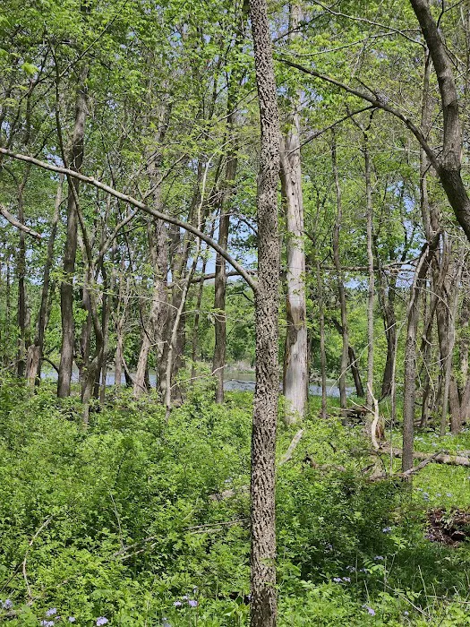 Cedar Valley County Park 9