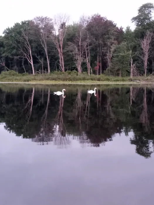 Three Mile Lake Mobile Home Park 5