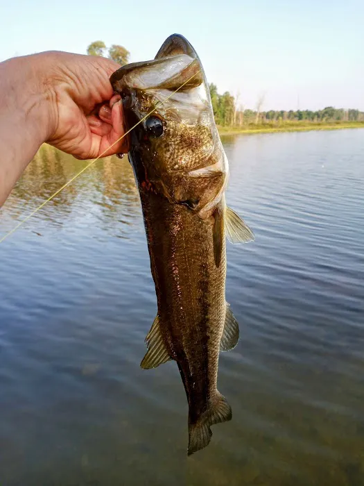 Three Mile Lake Mobile Home Park 1