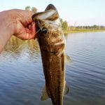Three Mile Lake Mobile Home Park