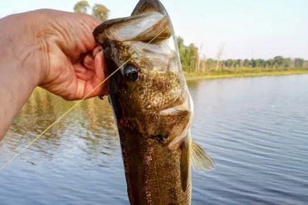 Three Mile Lake Mobile Home Park