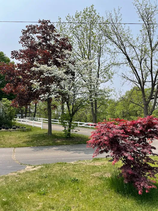 Forest Haven RV Park and Campground 1