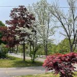 Forest Haven RV Park and Campground
