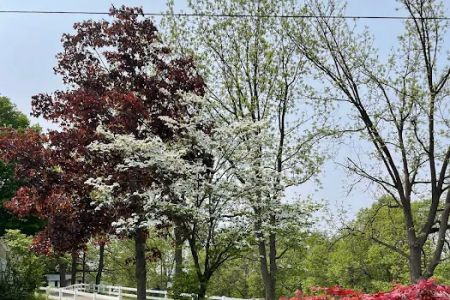 Forest Haven RV Park and Campground