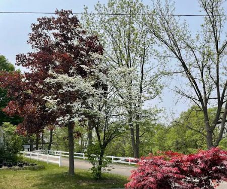 Forest Haven RV Park and Campground