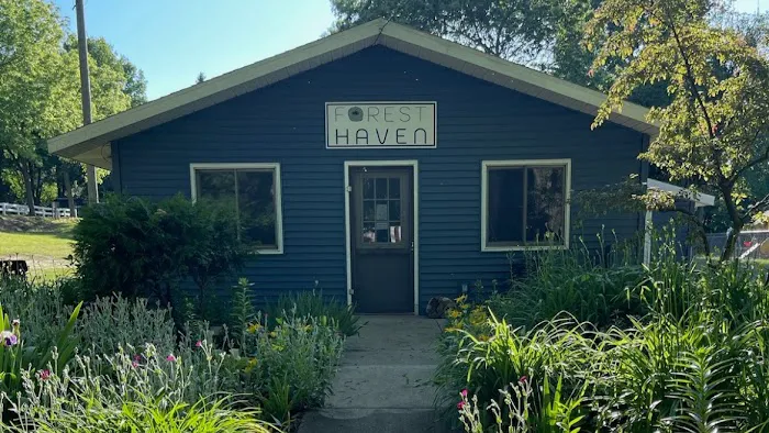 Forest Haven RV Park and Campground 9