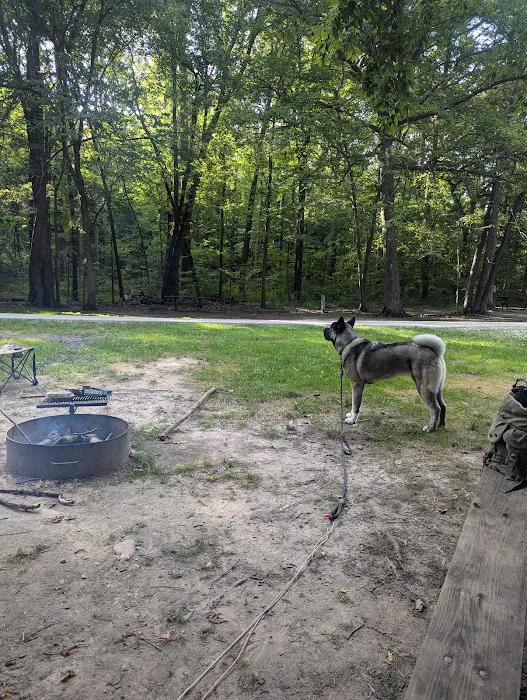 Chain O’ Lakes Campground 5