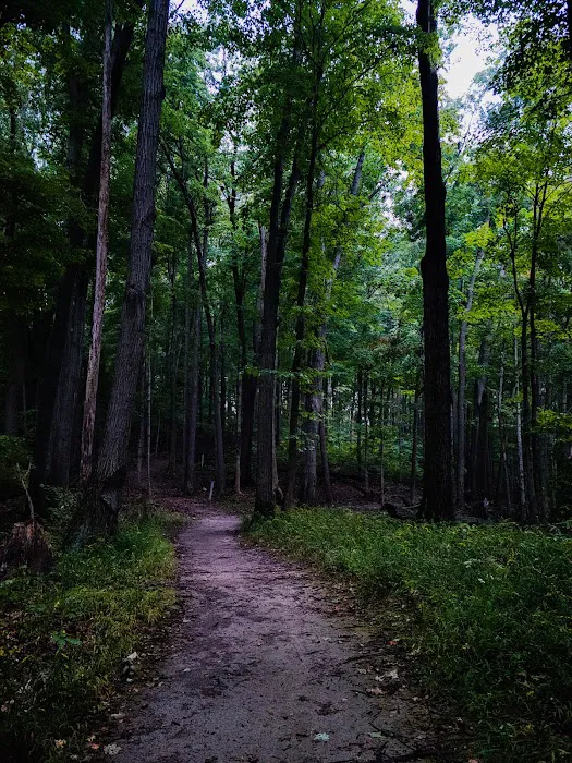 Bixler Lake Campground 9