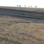 Kendallville Park & Recreation