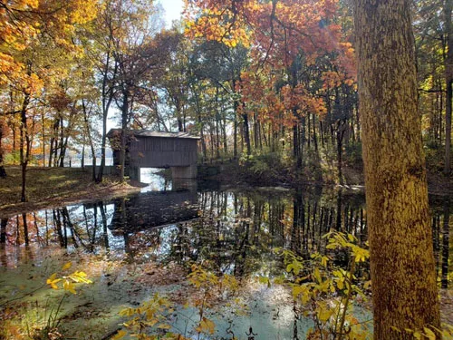Pioneer Point Campground 3