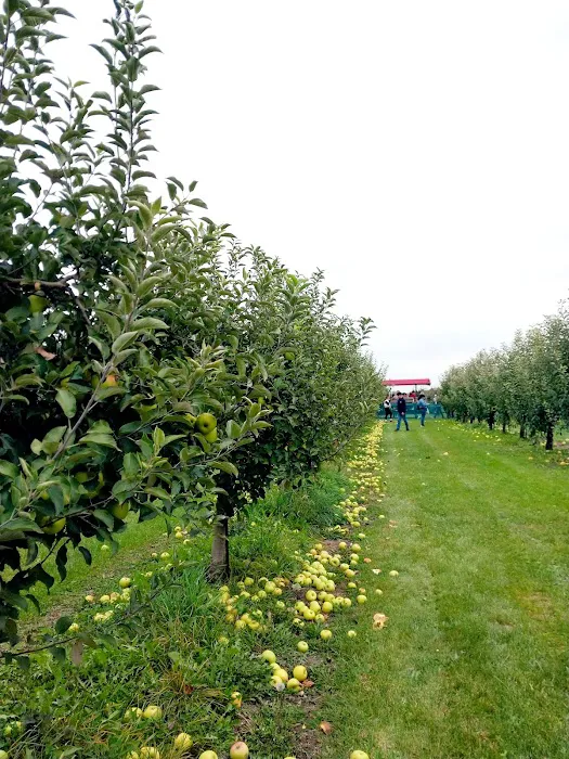Apple Orchard Primitive Campground 9