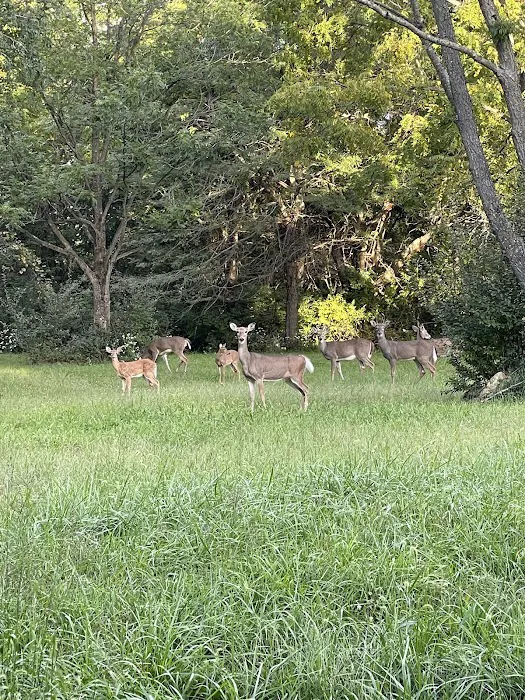 Opossum Creek Recreation Area 7