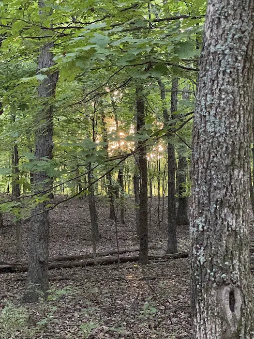 Opossum Creek Recreation Area 9