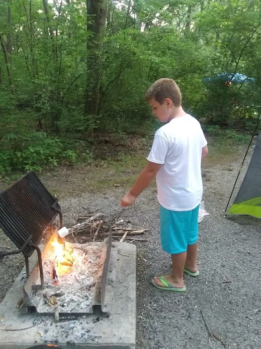 Fox Ridge State Park Campground 6