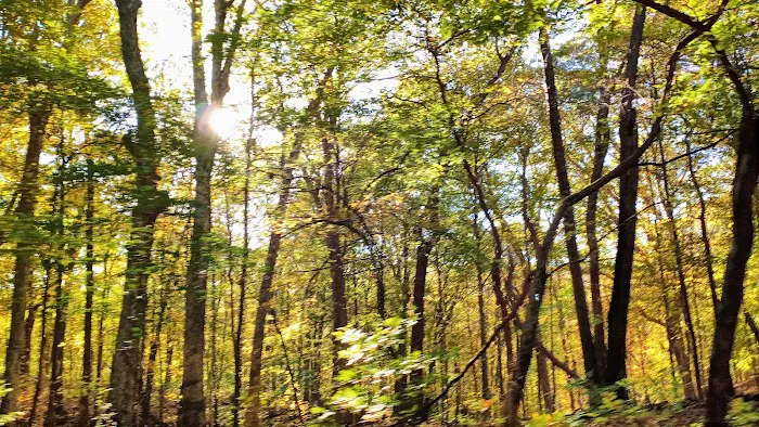 Fox Ridge State Park Campground 2