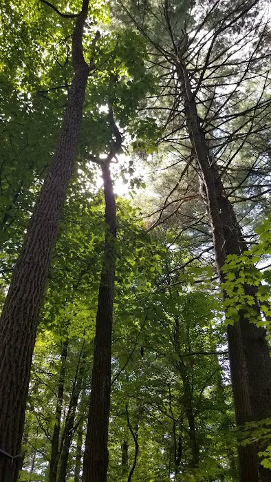 Fox Ridge State Park Campground 4