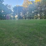 Richard M. Lyman Memorial Grove