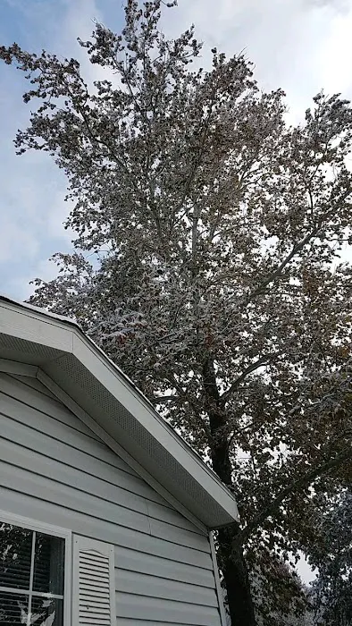 Ridge Village Mobile Home Park 1