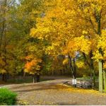 Terre Haute Campground