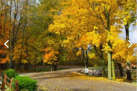 Terre Haute Campground